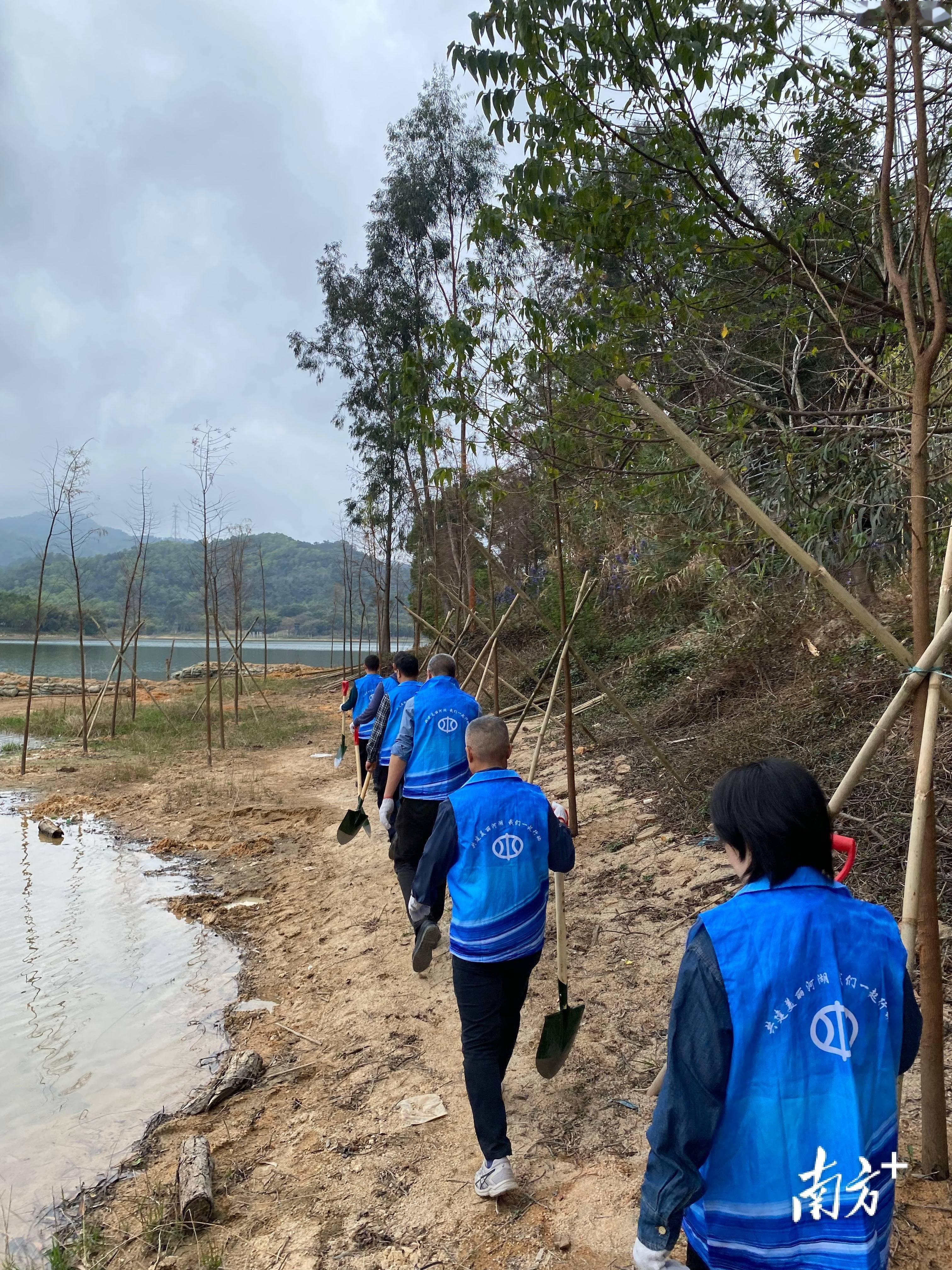 打造万米水岸绿景！中山市水务局以党建引领带动乡村绿化